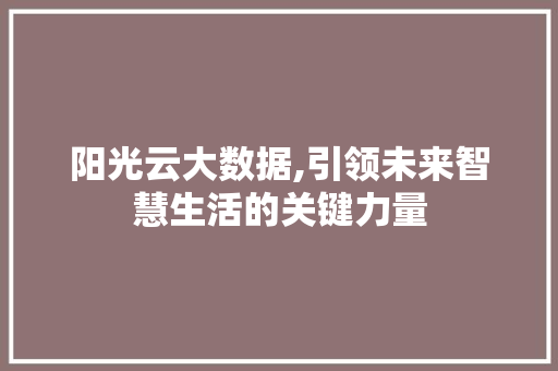 阳光云大数据,引领未来智慧生活的关键力量
