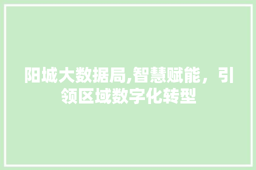 阳城大数据局,智慧赋能，引领区域数字化转型
