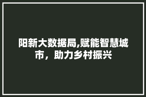 阳新大数据局,赋能智慧城市，助力乡村振兴