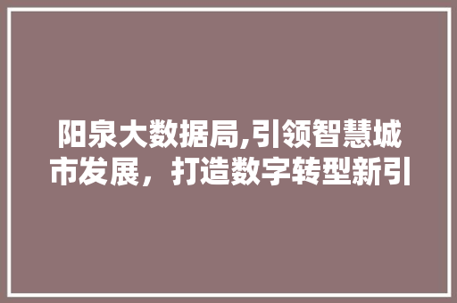 阳泉大数据局,引领智慧城市发展，打造数字转型新引擎