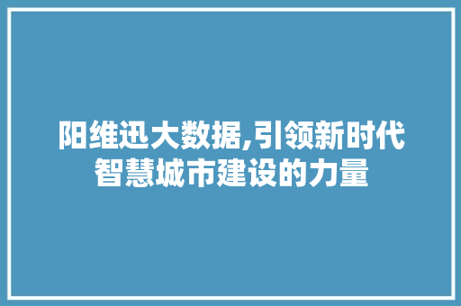 阳维迅大数据,引领新时代智慧城市建设的力量