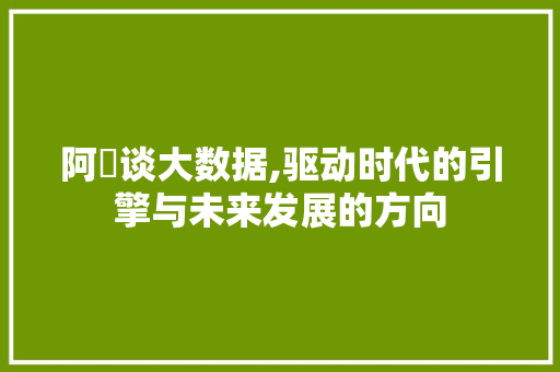阿喆谈大数据,驱动时代的引擎与未来发展的方向