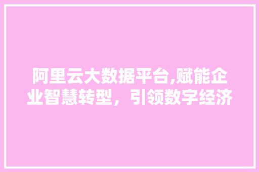 阿里云大数据平台,赋能企业智慧转型，引领数字经济新风尚