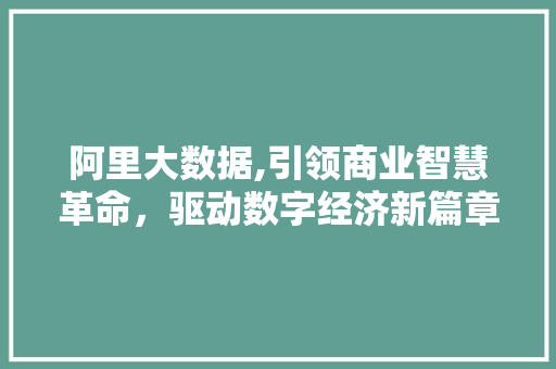 阿里大数据,引领商业智慧革命，驱动数字经济新篇章