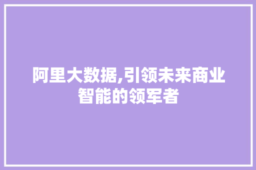阿里大数据,引领未来商业智能的领军者