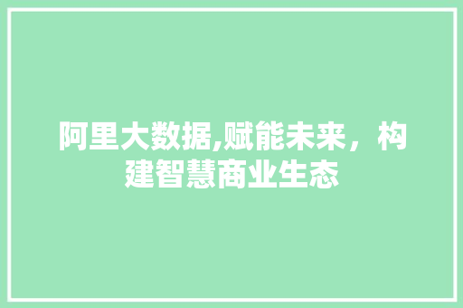 阿里大数据,赋能未来，构建智慧商业生态