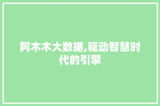 阿木木大数据,驱动智慧时代的引擎