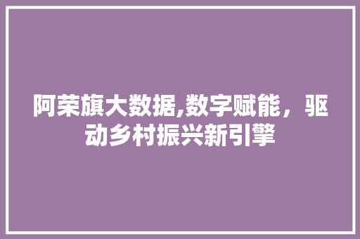 阿荣旗大数据,数字赋能，驱动乡村振兴新引擎