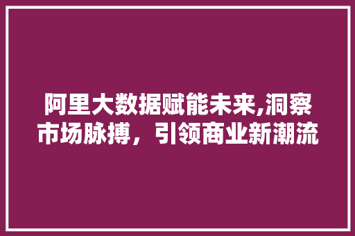 阿里大数据赋能未来,洞察市场脉搏，引领商业新潮流