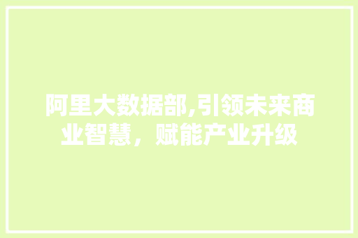 阿里大数据部,引领未来商业智慧，赋能产业升级