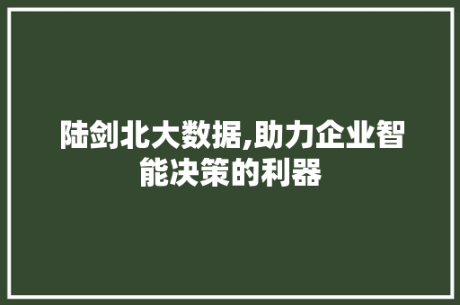 陆剑北大数据,助力企业智能决策的利器