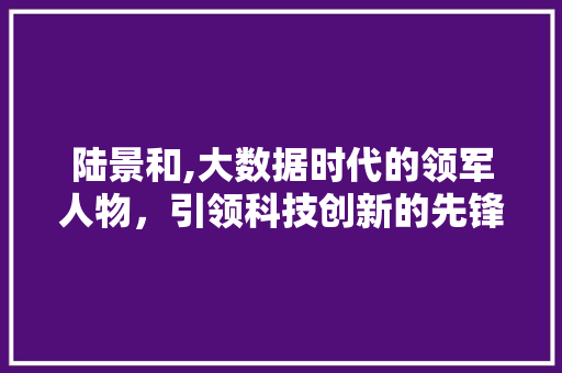 陆景和,大数据时代的领军人物，引领科技创新的先锋