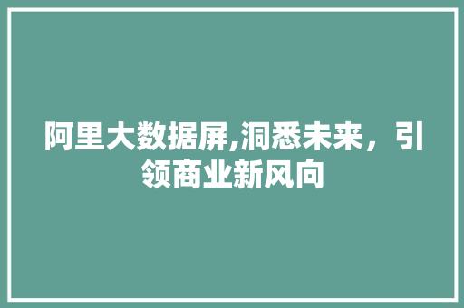 阿里大数据屏,洞悉未来，引领商业新风向