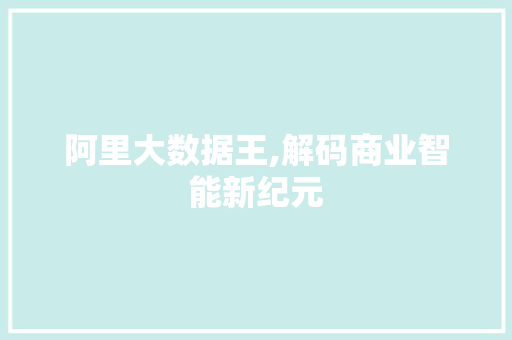 阿里大数据王,解码商业智能新纪元