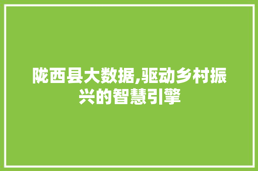陇西县大数据,驱动乡村振兴的智慧引擎