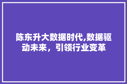 陈东升大数据时代,数据驱动未来，引领行业变革