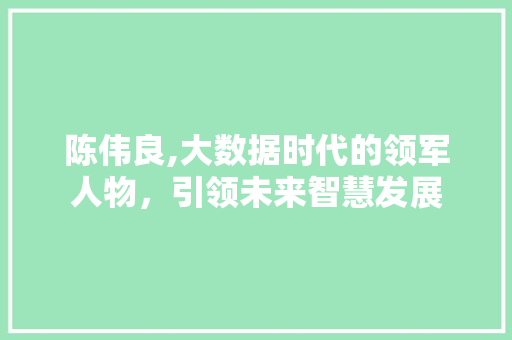 陈伟良,大数据时代的领军人物，引领未来智慧发展