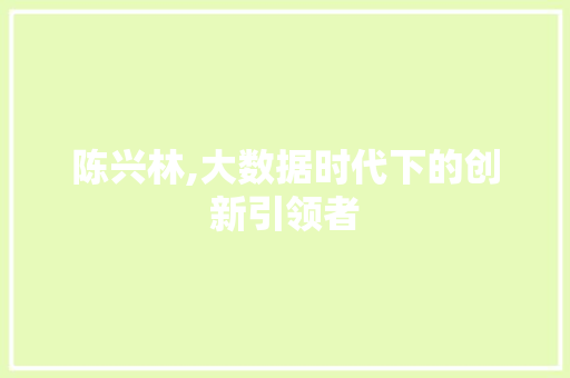 陈兴林,大数据时代下的创新引领者