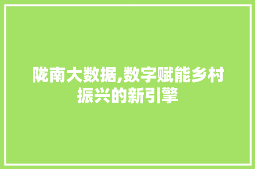 陇南大数据,数字赋能乡村振兴的新引擎