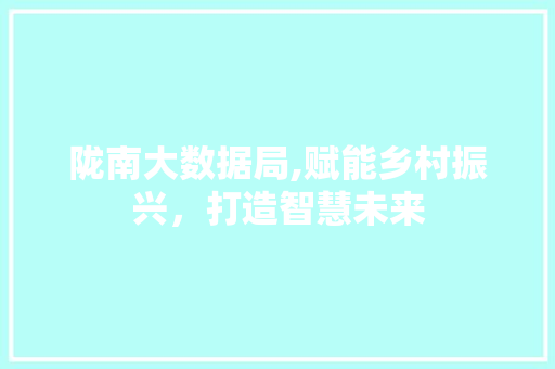 陇南大数据局,赋能乡村振兴，打造智慧未来