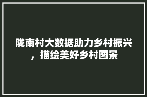 陇南村大数据助力乡村振兴，描绘美好乡村图景