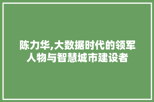 陈力华,大数据时代的领军人物与智慧城市建设者