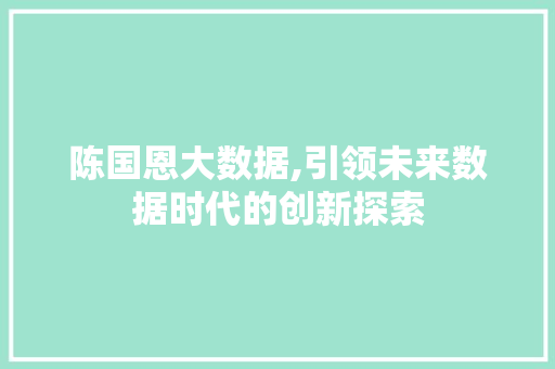 陈国恩大数据,引领未来数据时代的创新探索