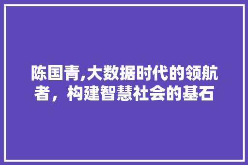 陈国青,大数据时代的领航者，构建智慧社会的基石