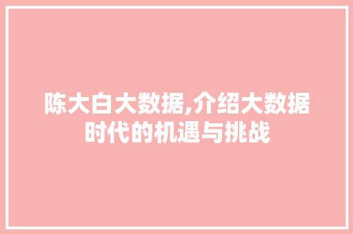 陈大白大数据,介绍大数据时代的机遇与挑战