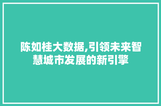 陈如桂大数据,引领未来智慧城市发展的新引擎