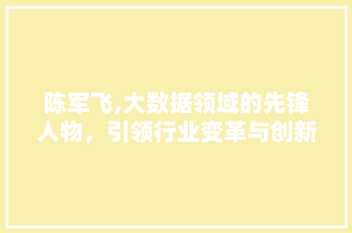 陈军飞,大数据领域的先锋人物，引领行业变革与创新