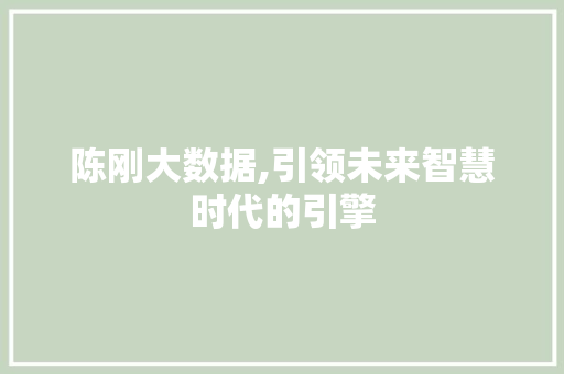 陈刚大数据,引领未来智慧时代的引擎