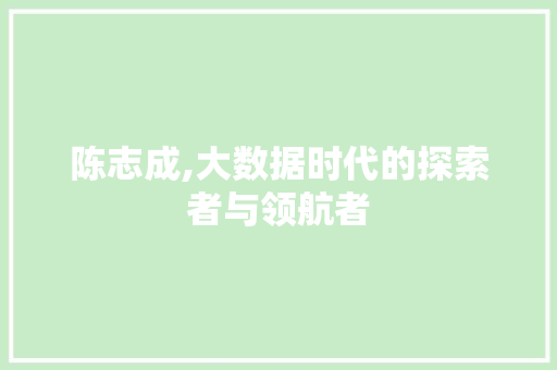 陈志成,大数据时代的探索者与领航者