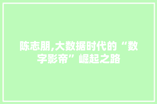 陈志朋,大数据时代的“数字影帝”崛起之路