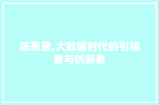陈思恩,大数据时代的引领者与创新者