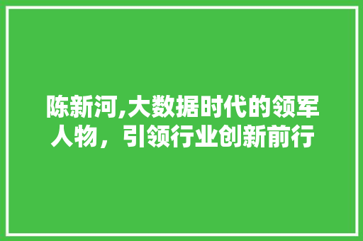 陈新河,大数据时代的领军人物，引领行业创新前行