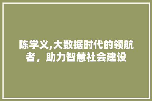 陈学义,大数据时代的领航者，助力智慧社会建设