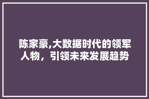 陈家豪,大数据时代的领军人物，引领未来发展趋势