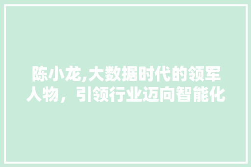 陈小龙,大数据时代的领军人物，引领行业迈向智能化未来