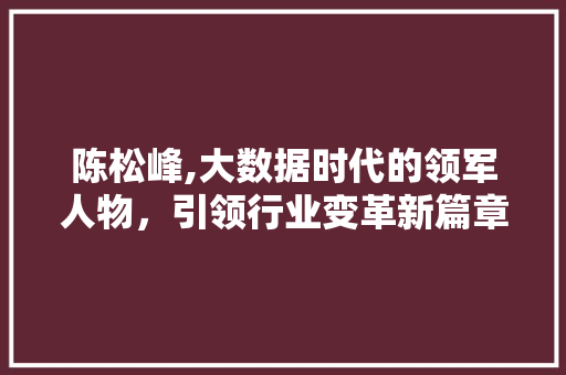 陈松峰,大数据时代的领军人物，引领行业变革新篇章