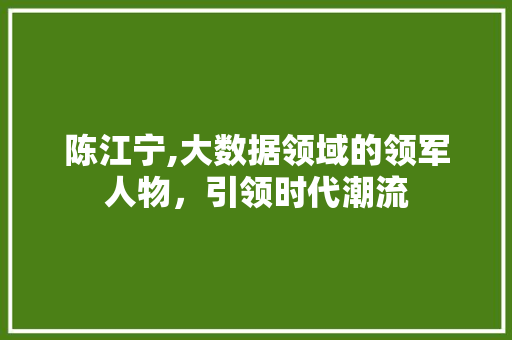 陈江宁,大数据领域的领军人物，引领时代潮流