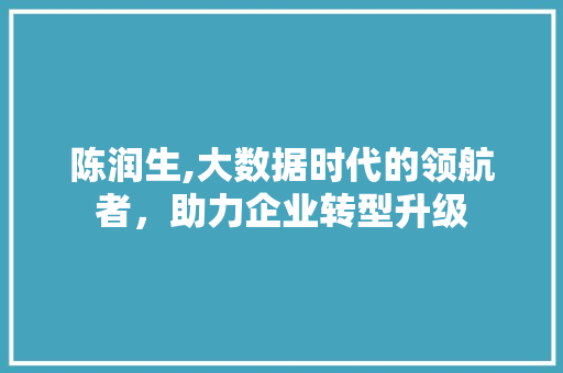 陈润生,大数据时代的领航者，助力企业转型升级