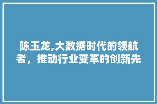 陈玉龙,大数据时代的领航者，推动行业变革的创新先锋