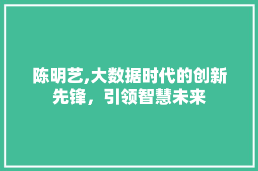 陈明艺,大数据时代的创新先锋，引领智慧未来