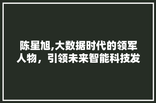 陈星旭,大数据时代的领军人物，引领未来智能科技发展