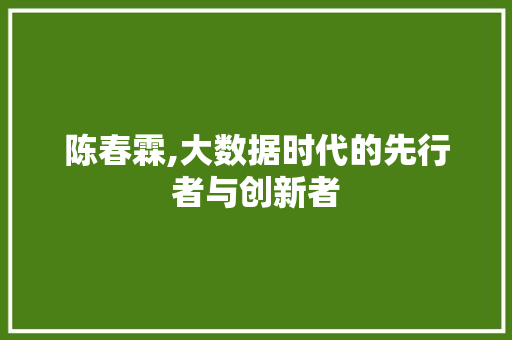 陈春霖,大数据时代的先行者与创新者