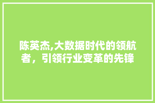 陈英杰,大数据时代的领航者，引领行业变革的先锋