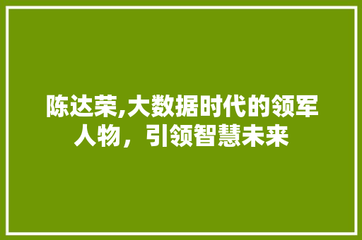 陈达荣,大数据时代的领军人物，引领智慧未来