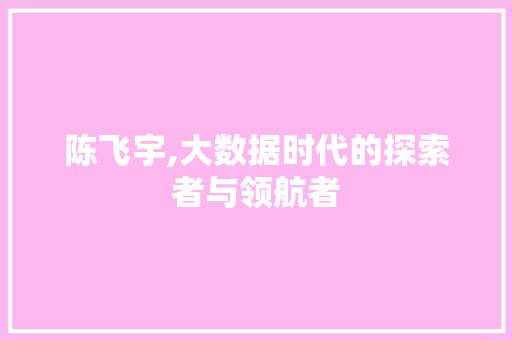 陈飞宇,大数据时代的探索者与领航者