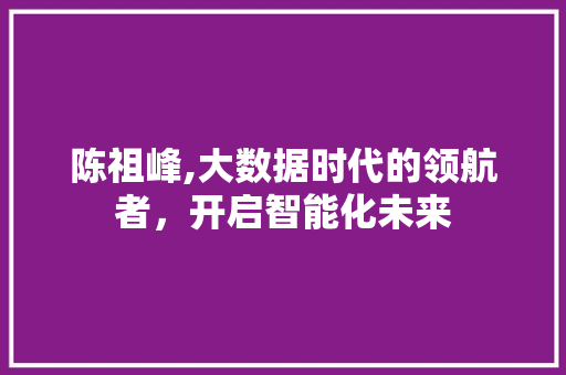 陈祖峰,大数据时代的领航者，开启智能化未来